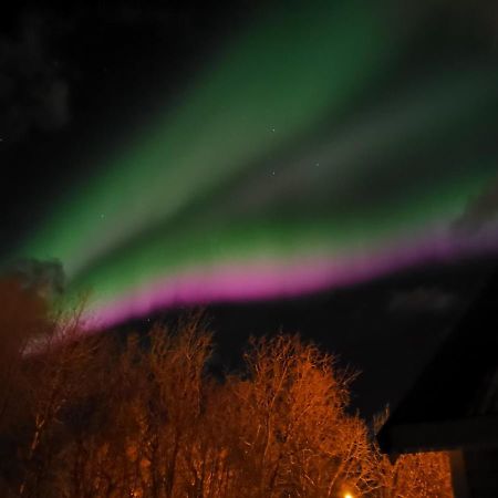 Relaxing Cabin Villa Gravdal  ภายนอก รูปภาพ