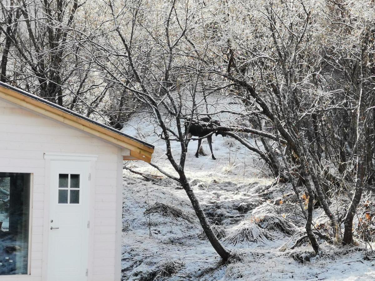 Relaxing Cabin Villa Gravdal  ภายนอก รูปภาพ
